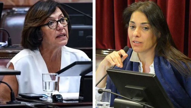 DNU de Javier Milei: ¿Qué dijeron las senadoras Crexell y Sapag?
