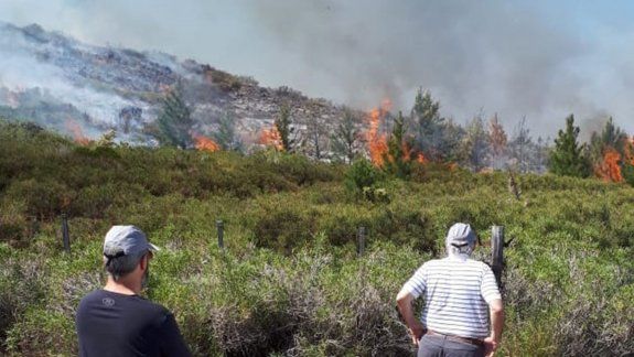 El viento complica el trabajo de los brigadistas