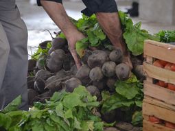 El mercado estará operando al 100% de su capacidad. El mercado estará operando al 100% de su capacidad.