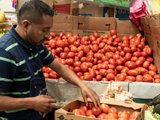 Desde 1996 el tomate ha sido un renglón aparte en las negociaciones