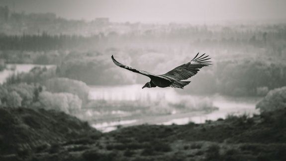 La leyenda de los ríos Limay y Neuquén