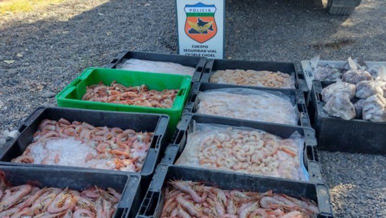 Secuestraron 180 kilos de mariscos que venían al Valle