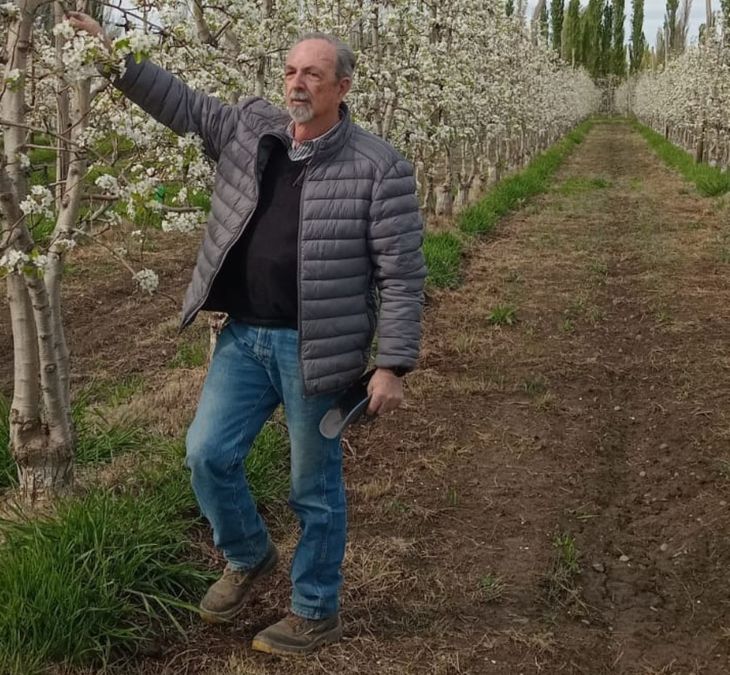 Calzona apuntaló la necesidad de contar con un programa que permita controlar esta plaga tan dañina para la fruticultura. Calzona apuntaló la necesidad de contar con un programa que permita controlar esta plaga tan dañina para la fruticultura.