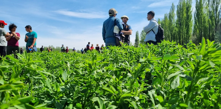 Línea para producción forrajera tiene un cupo de 500 millones de pesos. Foto: gobierno de Neuquén. Línea para producción forrajera tiene un cupo de 500 millones de pesos. Foto: gobierno de Neuquén.