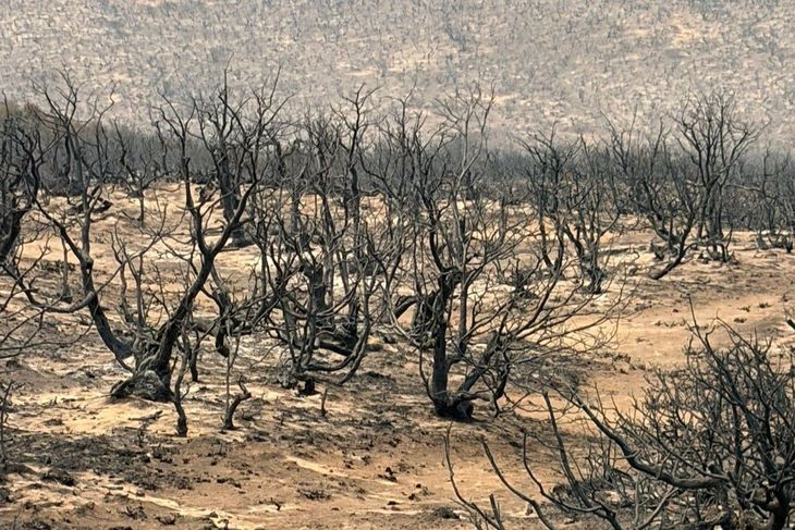 Los suelos desnudos serán presa de los vientos, aumentando la erosión.