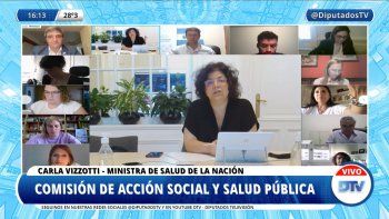 vizzotti diputados comision salud