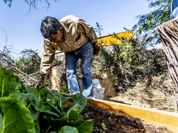 1.200 familias indígenas: de la sequía a la soberanía alimentaria con IA. 1.200 familias indígenas: de la sequía a la soberanía alimentaria con IA.