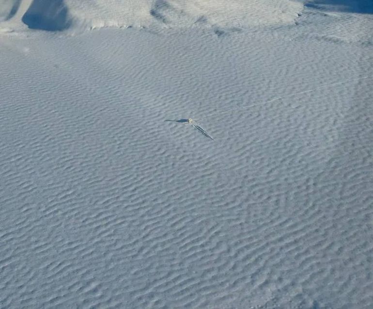 Rescataron al piloto que realizó un aterrizaje de emergencia en una laguna congelada
