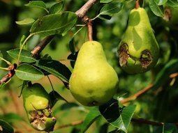 El Gobierno continúa haciendo las evaluaciones de daños. El Gobierno continúa haciendo las evaluaciones de daños.