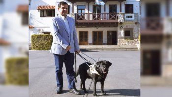 perro.jpg