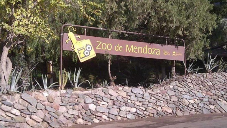 Cerraron un zoológico por la muerte de 17 animales