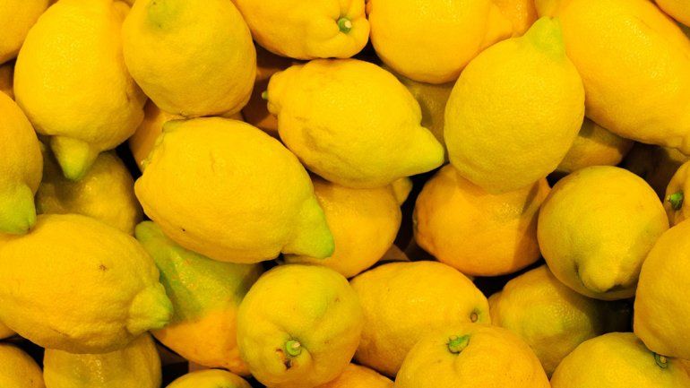 EE.UU. importará limones argentinos a partir del 26 de mayo