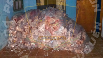 secuestraron mas de 3.000 kilos de carne que tenian como destino la provincia de neuquen