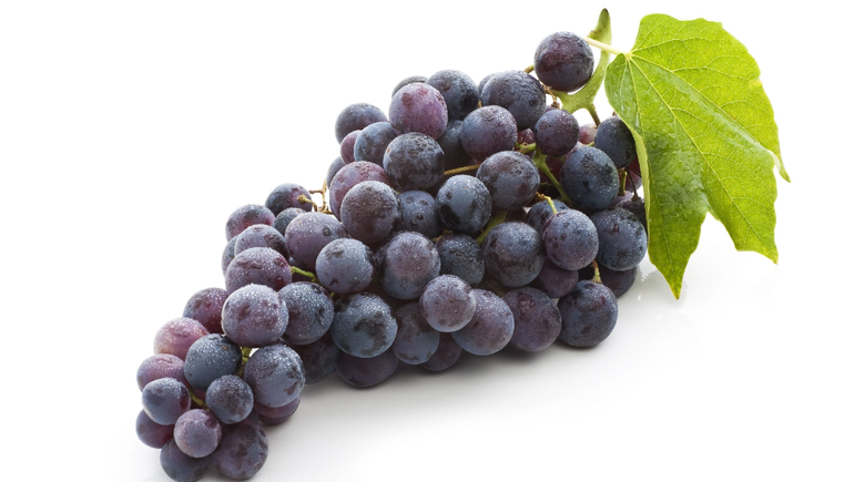 ¿Cómo se llama tu uva?: Confusiones y rarezas