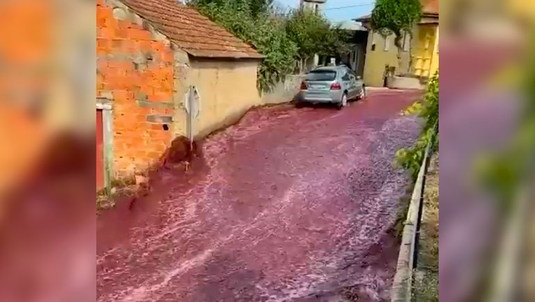 El río de vino inundó las calles de Anadia