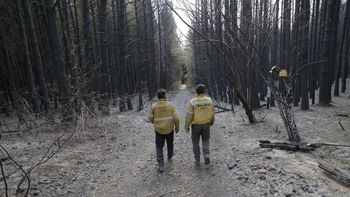 Los incendios en El Bolsón han causado numerosas pérdidas Los incendios en El Bolsón han causado numerosas pérdidas