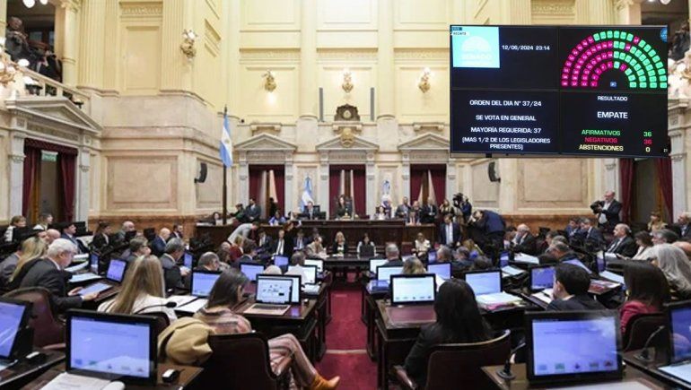 El Senado aprobó la Ley Bases de Javier Milei.