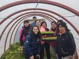 Río Negro nutre: más de 10 mil plantines y 93 invernaderos