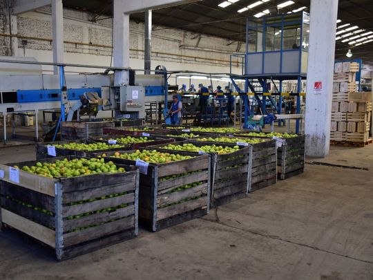 Tarifazo eléctrico en Río Negro: fuerte cruce entre el Gobierno y las pymes por un aumento que podría llegar al 64%