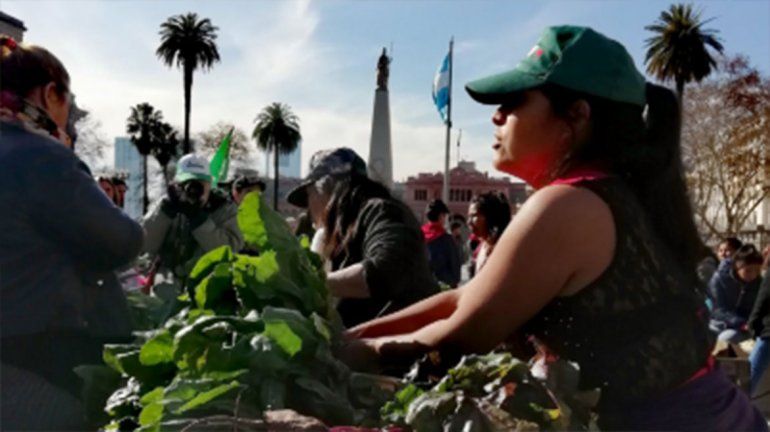 Protesta con precios baratos: El Alimentazo prendió en varios puntos del país