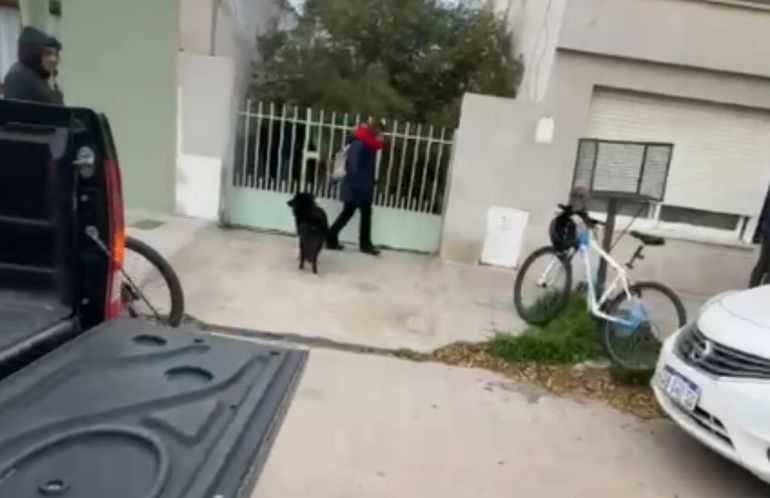 Rescataron 50 gatos maltratados en Roca al 700, Rawson. Rescataron 50 gatos maltratados en Roca al 700, Rawson.