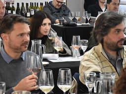 con sus mejores galas: bodegas de la patagonia presentaron sus vinos iconicos con sus mejores galas: bodegas de la patagonia presentaron sus vinos iconicos