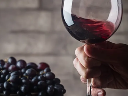 Los vinos desalcoholizados no son novedad. Pero la tendencia busca ganar adeptos. Los vinos desalcoholizados no son novedad. Pero la tendencia busca ganar adeptos.