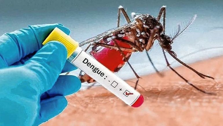 El brote de dengue se extiende por todo el país. Es importante tener cuidado, conocer algunos aspectos y utilizar repelente. El brote de dengue se extiende por todo el país. Es importante tener cuidado, conocer algunos aspectos y utilizar repelente.