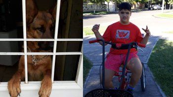 piden que devuelvan a la perra de un joven autista: se la llevaron en una camioneta