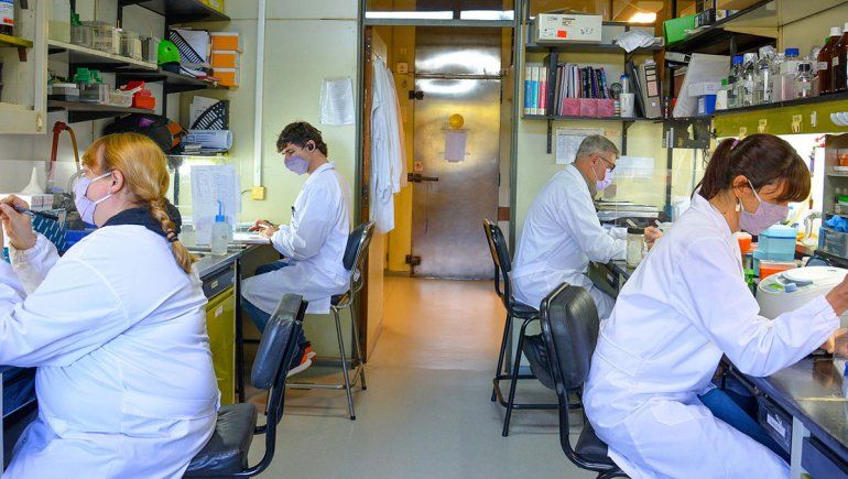 Científicos argentinos avanzan en una vacuna de segunda generación contra el coronavirus