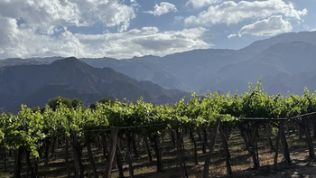 Cambio de estilo en el desierto. De la intensidad a la elegancia y frescura. El secreto está en la altura. | LM Neuquen Cambio de estilo en el desierto. De la intensidad a la elegancia y frescura. El secreto está en la altura.