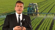 sergio massa anunciara hoy el nuevo dolar para el campo sergio massa anunciara hoy el nuevo dolar para el campo