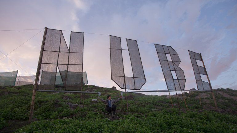 Las mallas están colocadas en los cerros y combaten la crisis hídrica.