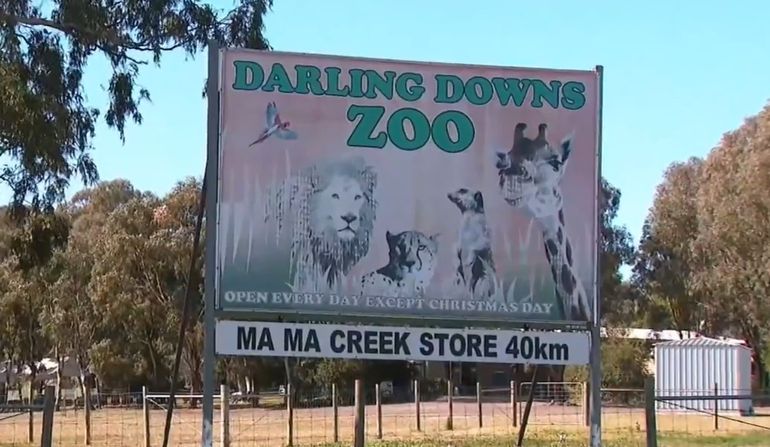El hecho ocurrió en un zoológico ubicado en Queensland, al noreste de Australia. El hecho ocurrió en un zoológico ubicado en Queensland, al noreste de Australia.