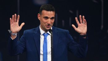 definido: scaloni confirmo quien dirigira a la argentina en los juegos olimpicos definido: scaloni confirmo quien dirigira a la argentina en los juegos olimpicos
