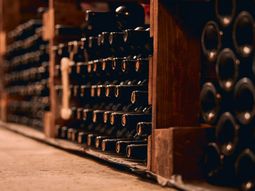 La verdadera magia del vino viejo no es haber resistido al paso del tiempo. La verdadera magia del vino viejo no es haber resistido al paso del tiempo.