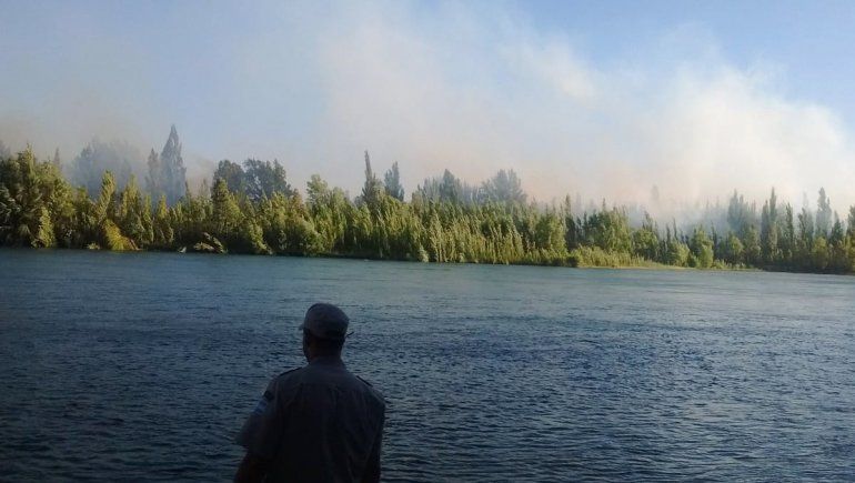 Está controlado el incendio de la isla sobre el Limay: ya afectó 5 hectáreas