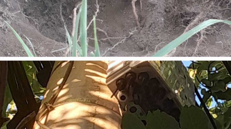 Robos de cables recientes en barrio Belgrano. | LM Neuquen Robos de cables recientes en barrio Belgrano.