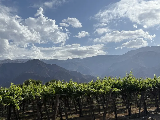 Cambio de estilo en el desierto. De la intensidad a la elegancia y frescura. El secreto está en la altura.