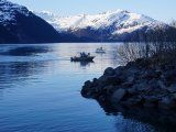 Foto de archivo ilustrativa de botes en Whittier, Alaska. Abril 26, 2020. REUTERS/Yereth Rosen