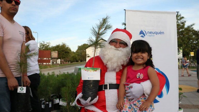 La Municipalidad entregó 500 pinos de Navidad