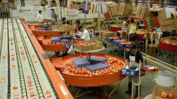 el senasa trabaja para levantar la suspension de brasil el senasa trabaja para levantar la suspension de brasil