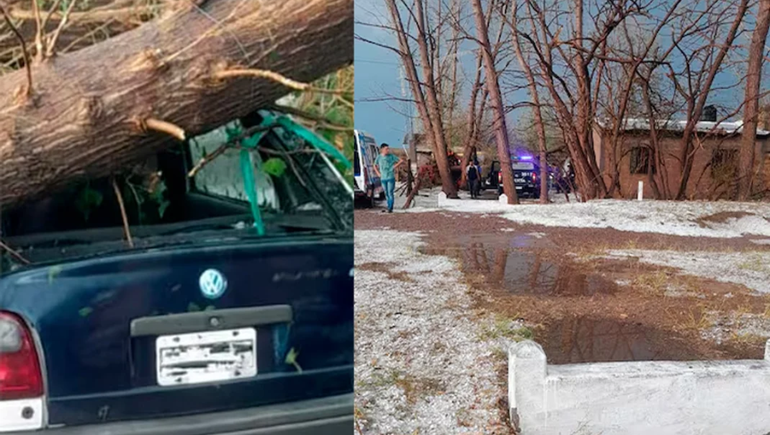 El temporal en Mendoza dejó un muerto por la caída de un arbol.