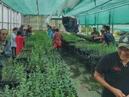 Más de 50 personas participaron de la jornada de puertas abiertas en el Vivero Forestal Mallín Ahogado. Foto: Gobierno de Río Negro Más de 50 personas participaron de la jornada de puertas abiertas en el Vivero Forestal Mallín Ahogado. Foto: Gobierno de Río Negro