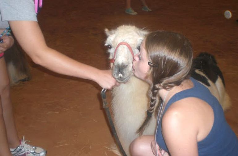 Para muchos niños, la conexión con la llama Whitetop representa un momento de tranquilidad dentro de su rutina médica y terapéutica. Para muchos niños, la conexión con la llama Whitetop representa un momento de tranquilidad dentro de su rutina médica y terapéutica.