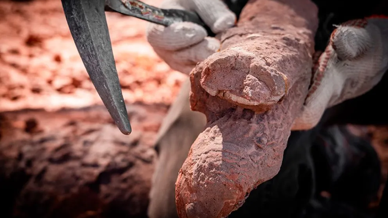 Proyecto Dino: una postal mágica de Neuquén que mira atrás en el tiempo | LM Neuquen Proyecto Dino: una postal mágica de Neuquén que mira atrás en el tiempo