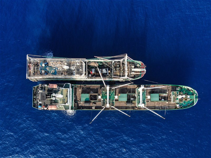 La flota china aumentó su esfuerzo de pesca en la zona un 85% en cinco años. La flota china aumentó su esfuerzo de pesca en la zona un 85% en cinco años.