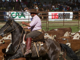 El predio de la Sociedad Rural en Junín de los Andes congrega a los referentes del sector ganadero El predio de la Sociedad Rural en Junín de los Andes congrega a los referentes del sector ganadero