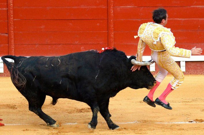 España: toro cornea a experto torero y lo hirió en los glúteos