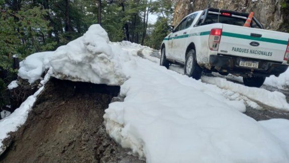 Graban en video la aparición de un duende en Bariloche